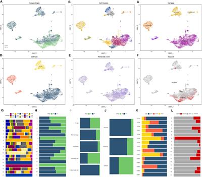 Molecular mechanisms of pancreatic cancer liver metastasis: the role of PAK2